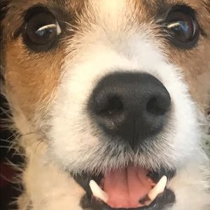 Meet your Posher, Debi